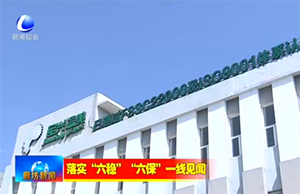新聞采訪｜疫情下，軍興溢美如何在危機中求發(fā)展？